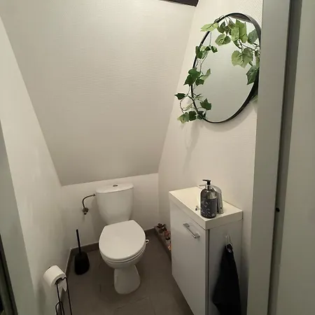 En Duplex Au Centre-ville De Sélestat
